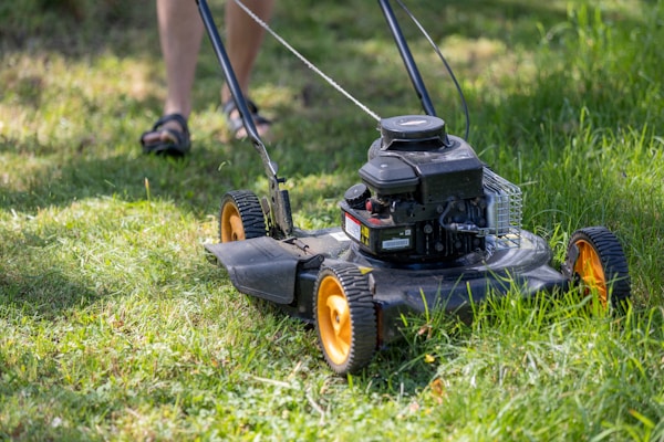 Lawn mower cutting fresh green grass on a sunny day